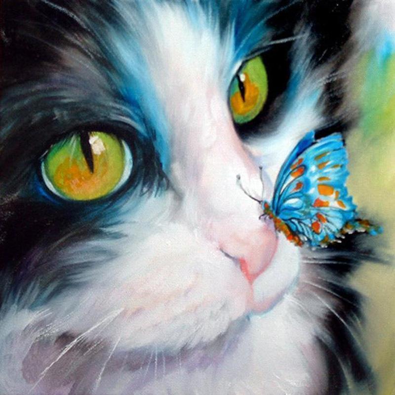 Diamond Paintings