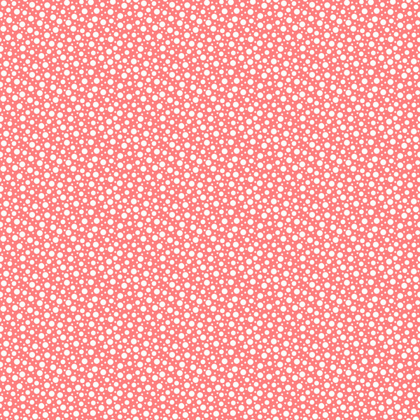 Franny's Flowers Strip Roll  2.5" x 44" Strips (40pc)