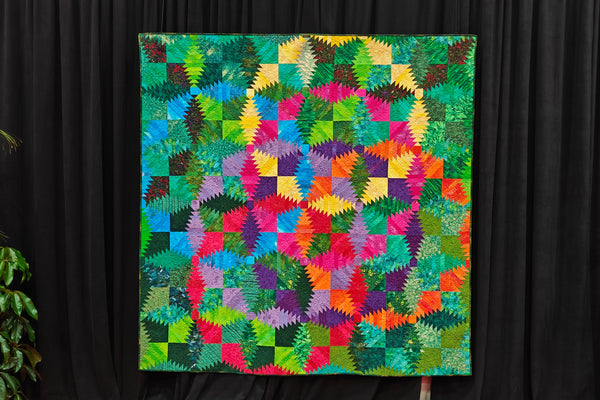A trip to the 2025 International Quilt Festival in Houston