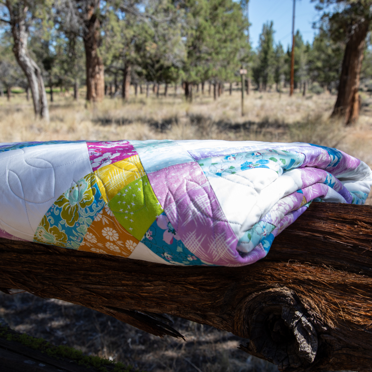 First Bloom Quilting Kit - Pre-Cut with Complete Backing & Binding - Experienced Beginner - 63x77 inches Finished Size