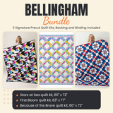 Bellingham Bundle - Stars at Sea, First Bloom and Because of the Brave quilts - photo 1 of 19 - The Fabric Hut
