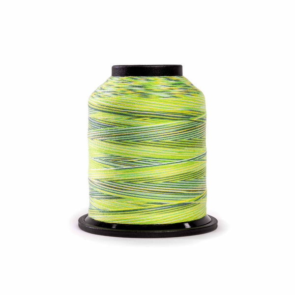 Finesse Classic Variegated Quilting Thread, 50wt Polyester - Summer Camp - 1100 Yards - The Fabric Hut