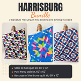 Harrisburg Bundle - Stars at Sea, Pool Party and Because of the Brave quilts - photo 1 of 19 - The Fabric Hut