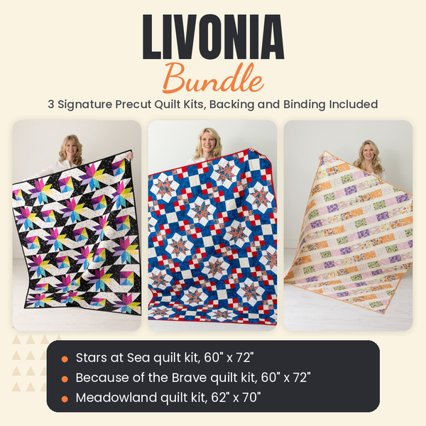 Livonia Bundle - Stars at Sea, Because of the Brave and Meadowland quilts - photo 1 of 19 - The Fabric Hut