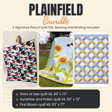 Plainfield Bundle - Stars at Sea, Sunshine and Pollen and First Bloom quilts - photo 1 of 19 - The Fabric Hut