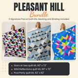 Pleasant Hill Bundle - Stars at Sea, Wild Reflections and Pool Party quilts - photo 1 of 19 - The Fabric Hut