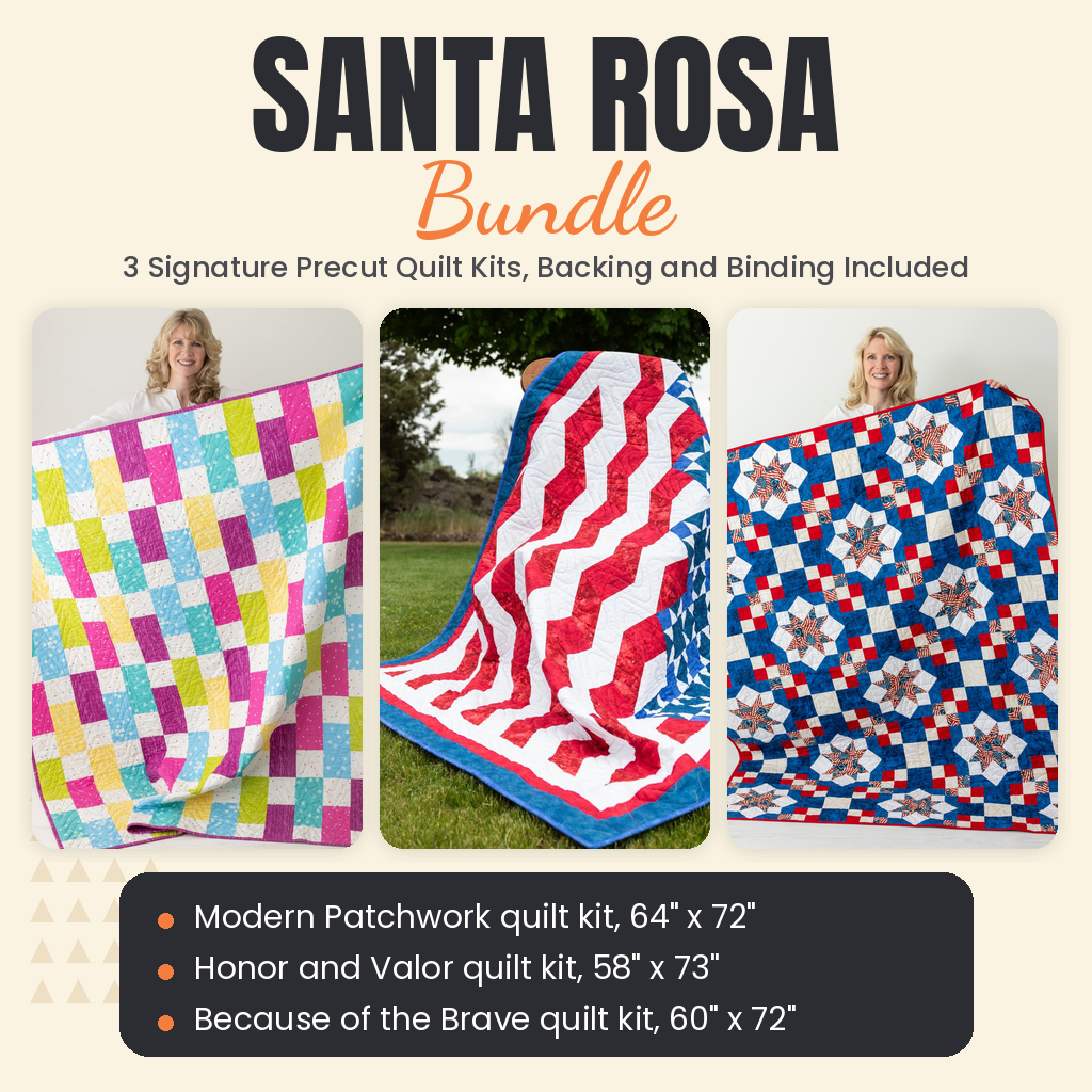 Santa Rosa Bundle - Modern Patchwork, Honor and Valor and Because of the Brave quilts - photo 1 of 19 - The Fabric Hut