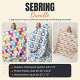 Sebring Bundle - Modern Patchwork, Prairie Posies and Meadowland quilts - photo 1 of 19 - The Fabric Hut