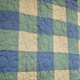 Park Picnic in Sage and Blue Quilt Pattern and Precut Fabric with binding and backing easy sewing kit Boy Beginner Friendly 41" X 49"